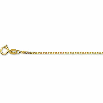 14K Gouden gourmette collier 1,2 mm 42 cm lang