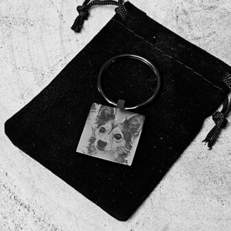sleutelhanger met foto rvs