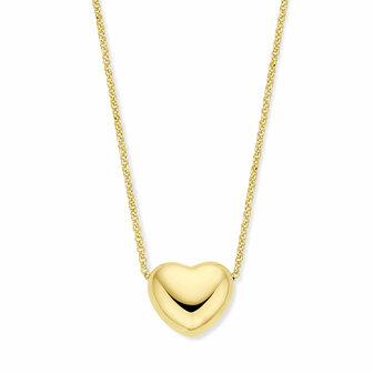 Verguld zilveren ketting met hart